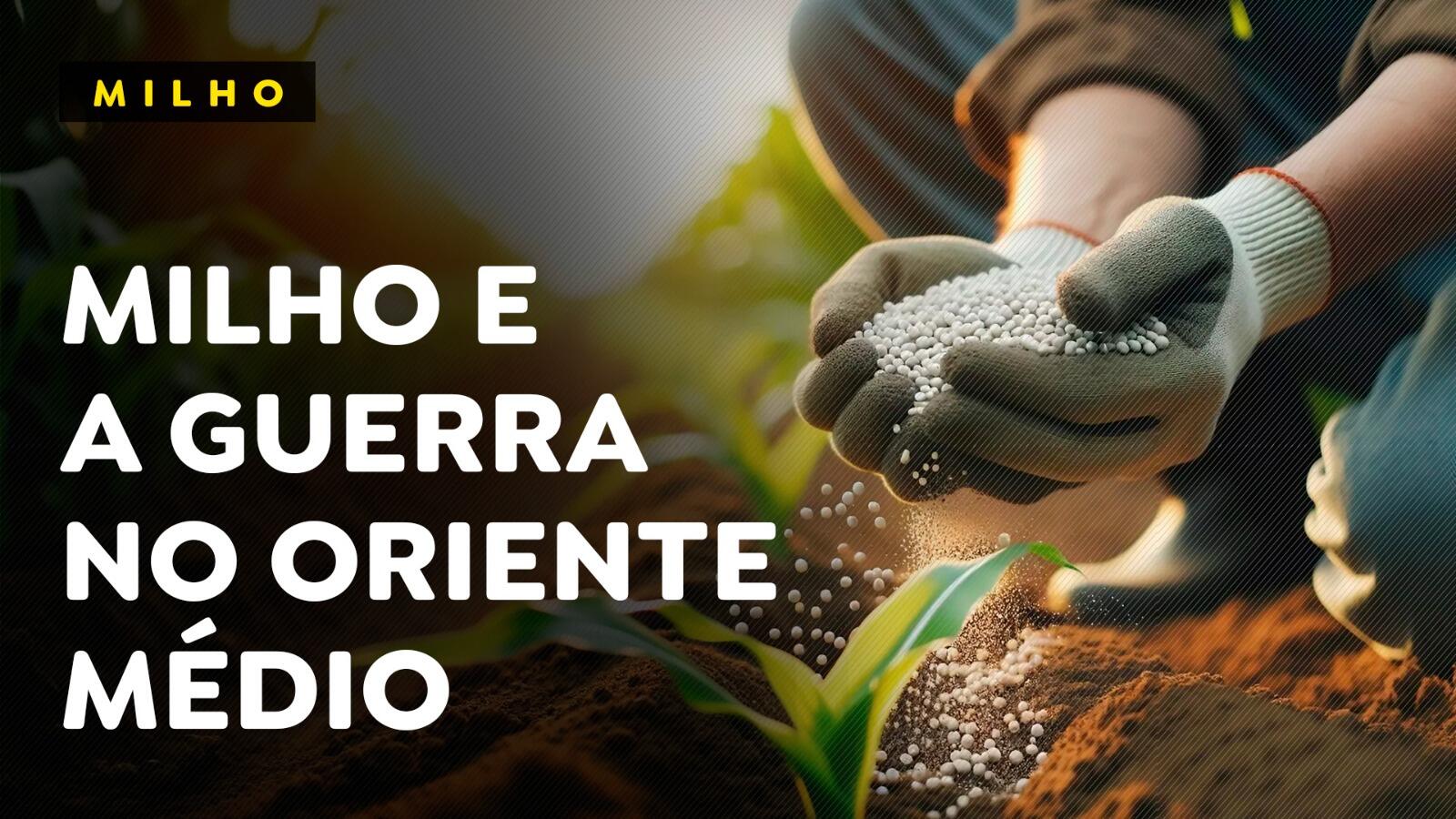 Milho e a guerra no Oriente Médio que impacta preços e fertilizantes