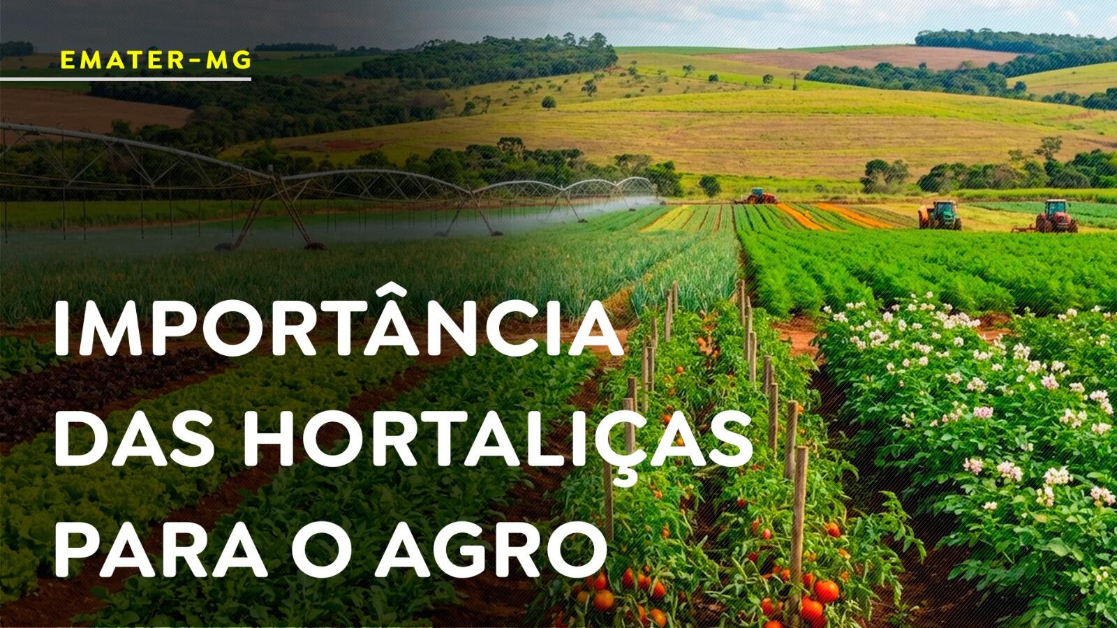 A importância das hortaliças para o agro mineiro