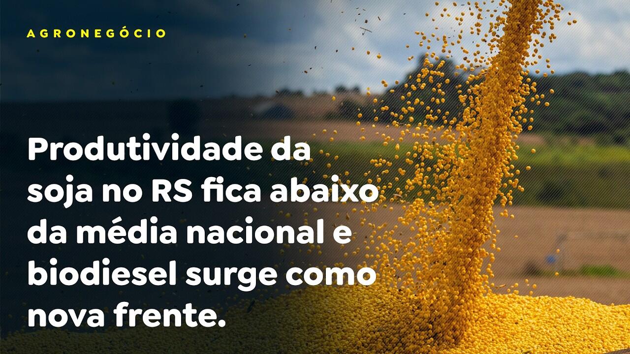 Produtividade da soja no RS fica abaixo da média nacional e biodiesel surge como nova frente.