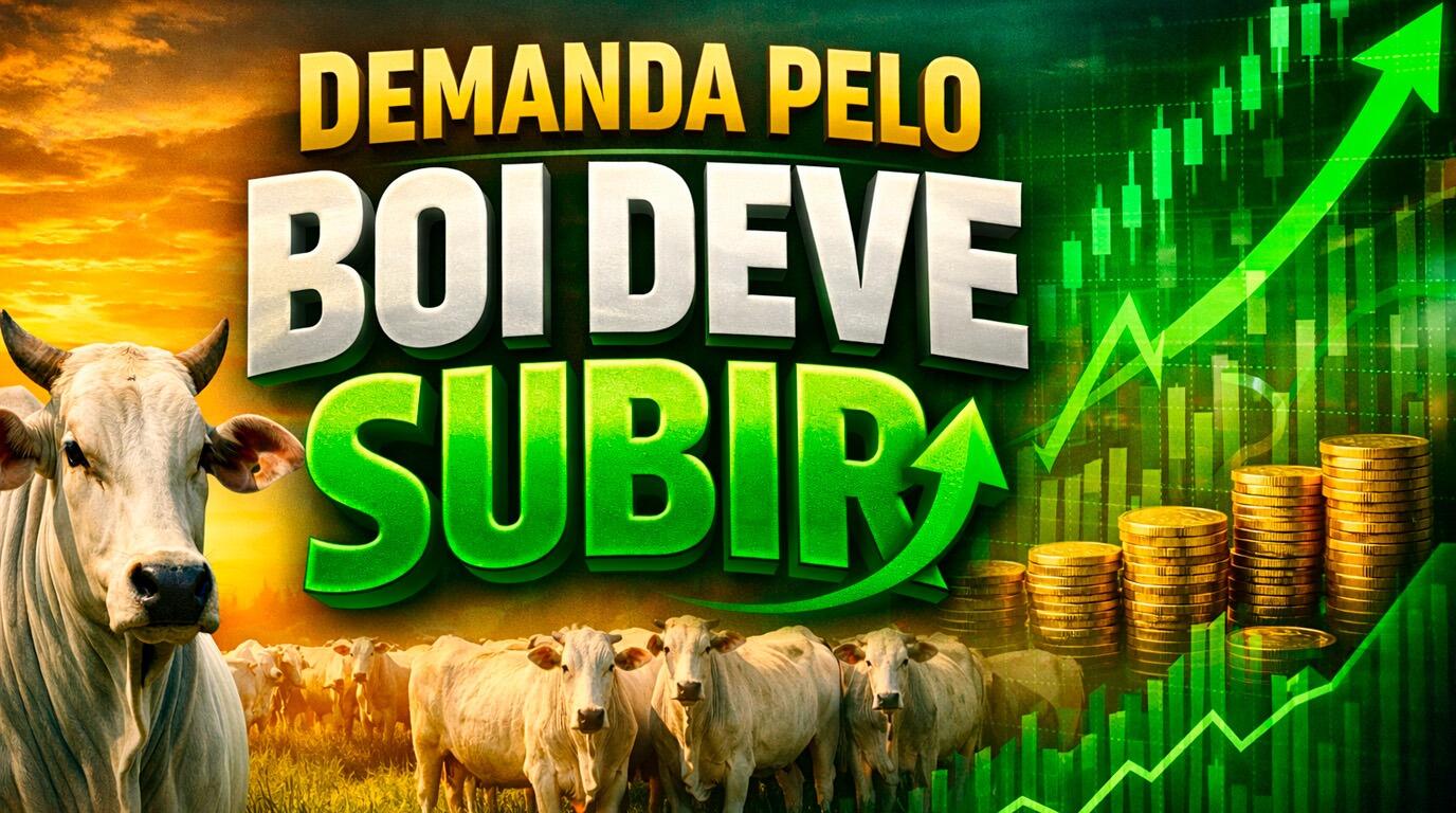 Demanda interna pelo boi deve subir com o fim da quaresma