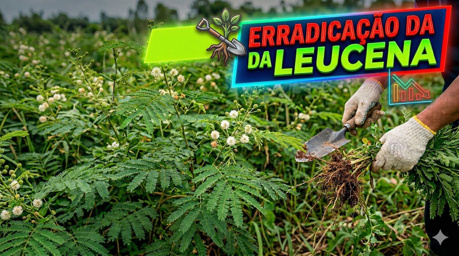 Comissão de Agricultura aprova erradicação da leucena, planta invasora no Cerrado