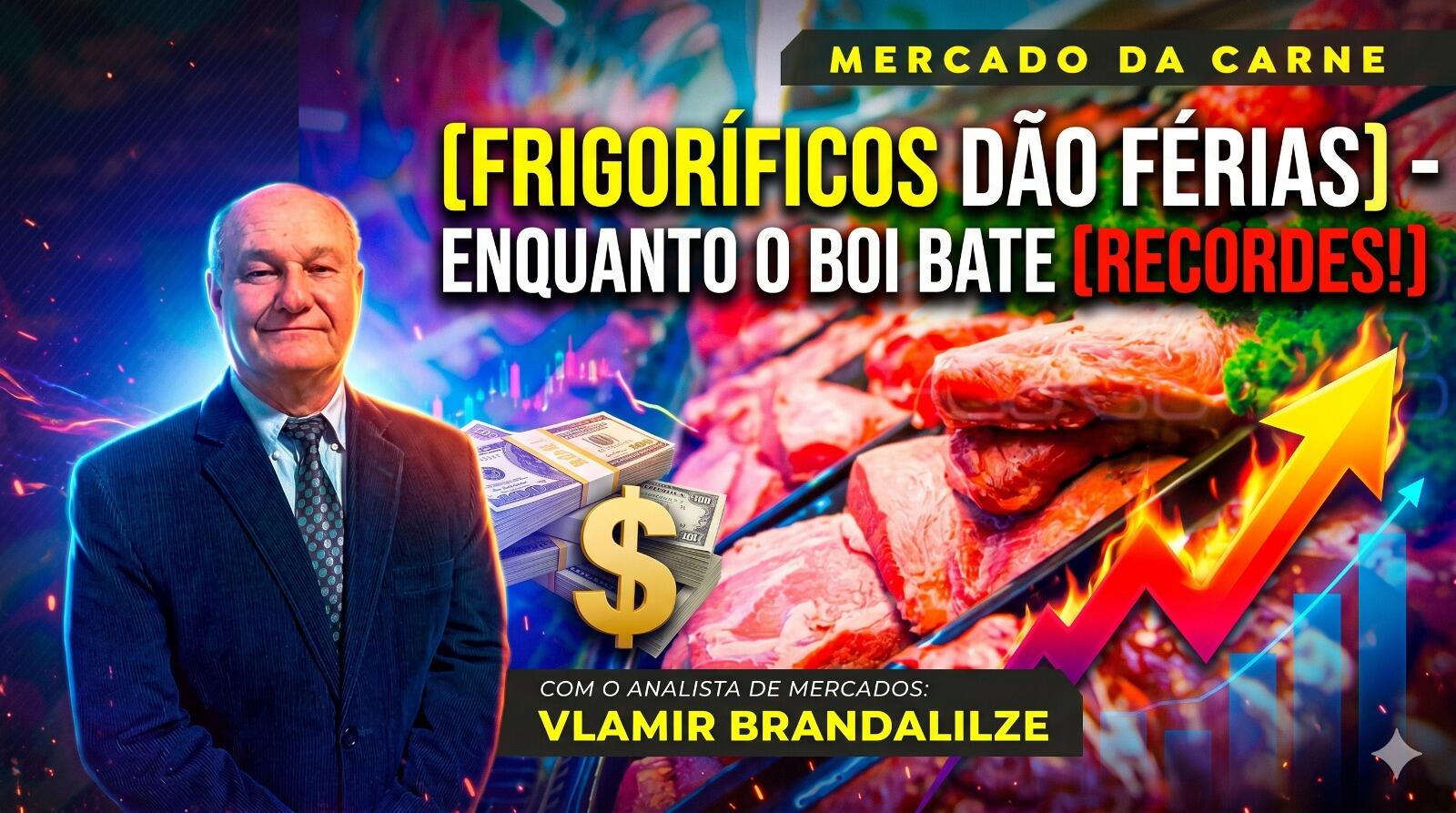 Escassez de Escala? Por que frigoríficos dão férias enquanto o boi bate recordes