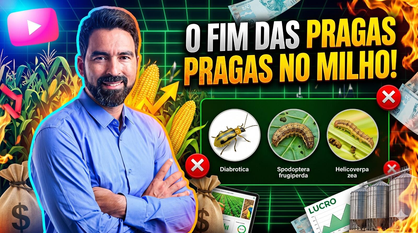 Agronomia em campo: Professor Fabrício explica o manejo das principais pragas do milho