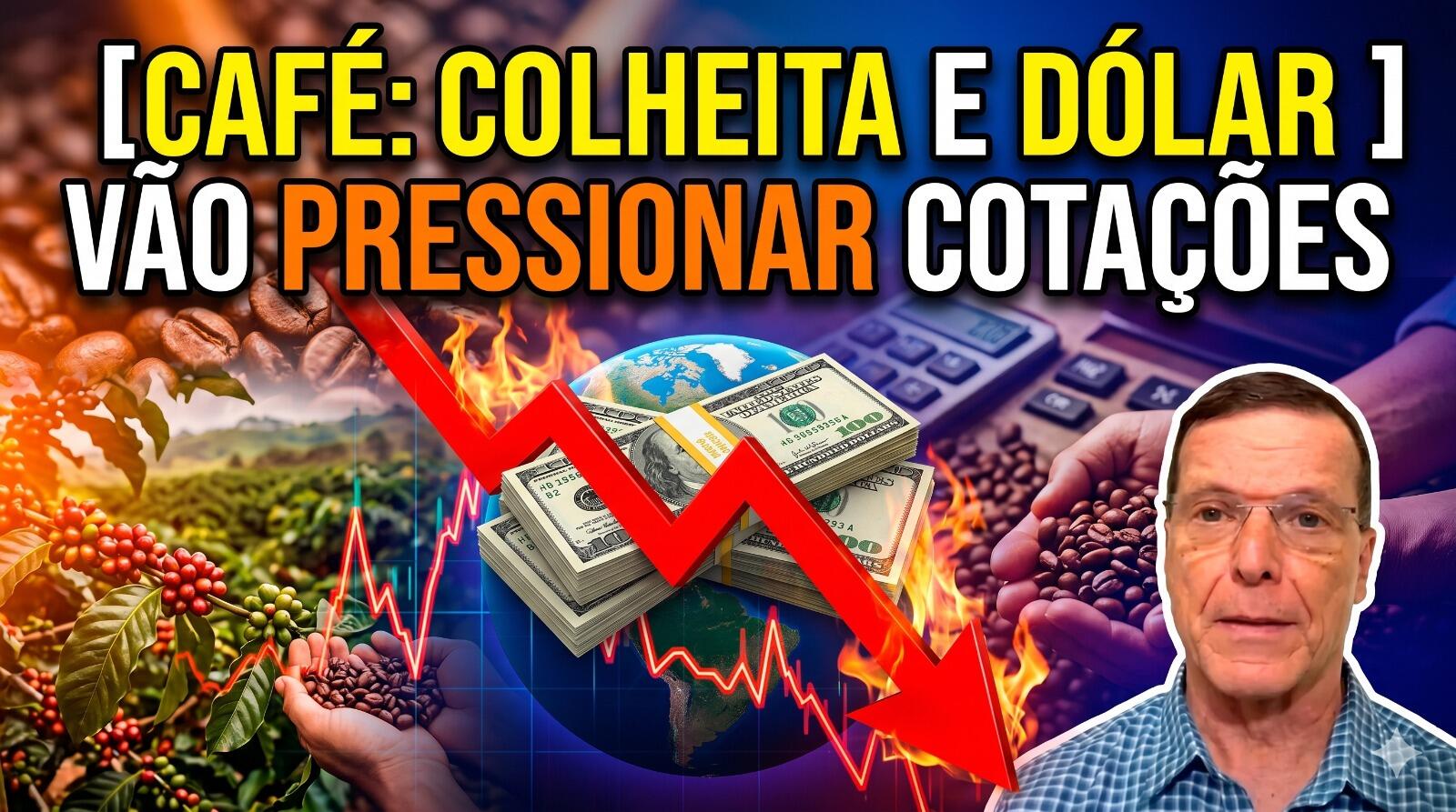 Preço do café: início da colheita e dólar vão pressionar cotações