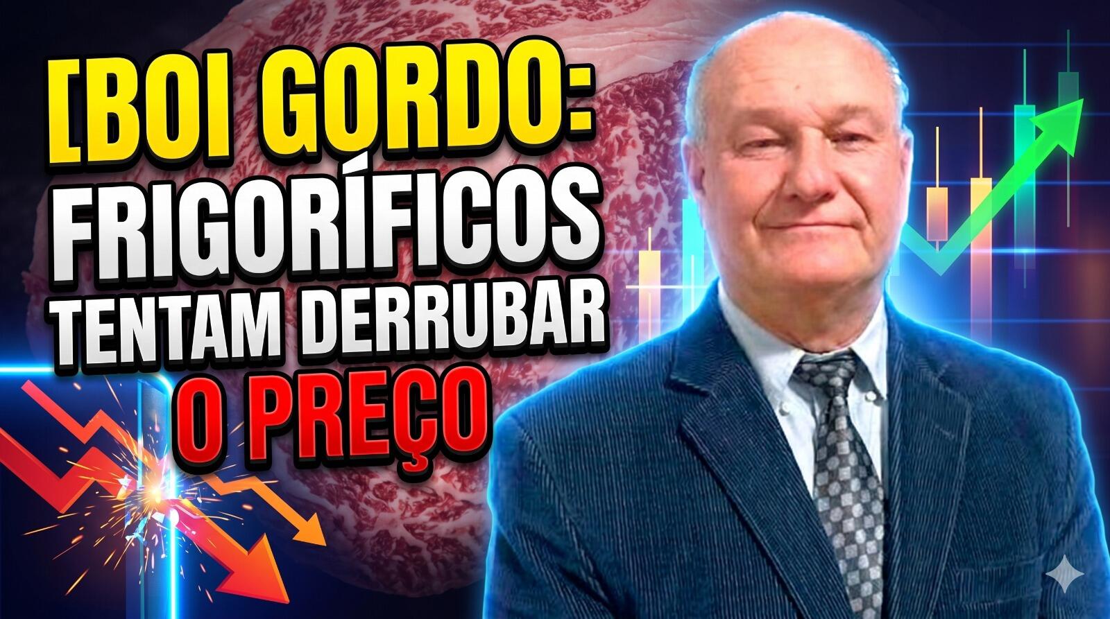 Boi gordo resiste: Frigoríficos tentam derrubar o preço, mas arroba segue firme