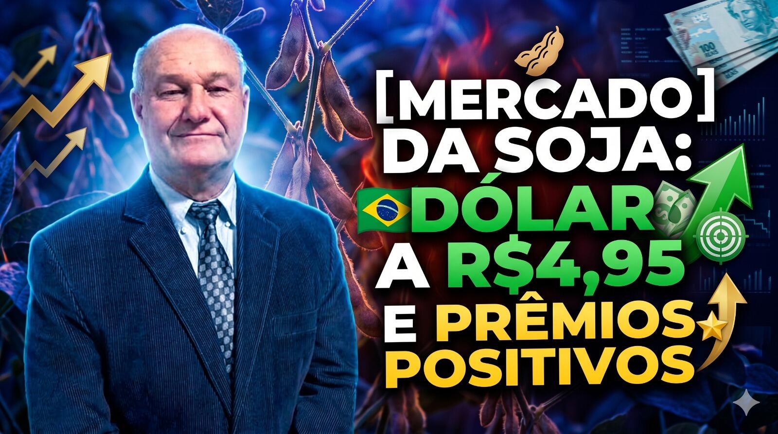 Mercado da soja: Dólar a R$4,95 e prêmios positivos: O que esperar do preço no porto?