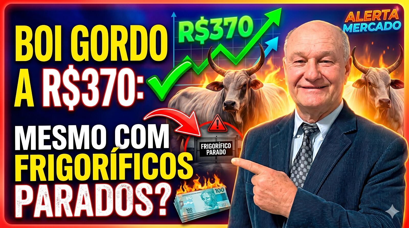 Boi Gordo a R$370: Por que a arroba segue firme mesmo com frigoríficos parados?