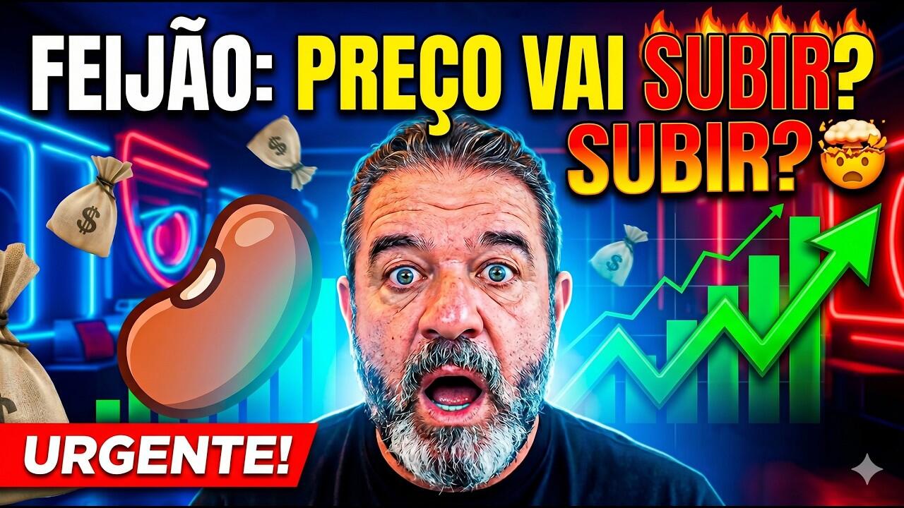 Mercado do feijão: preço vai subir? compradores do Nordeste buscam lotes no MT