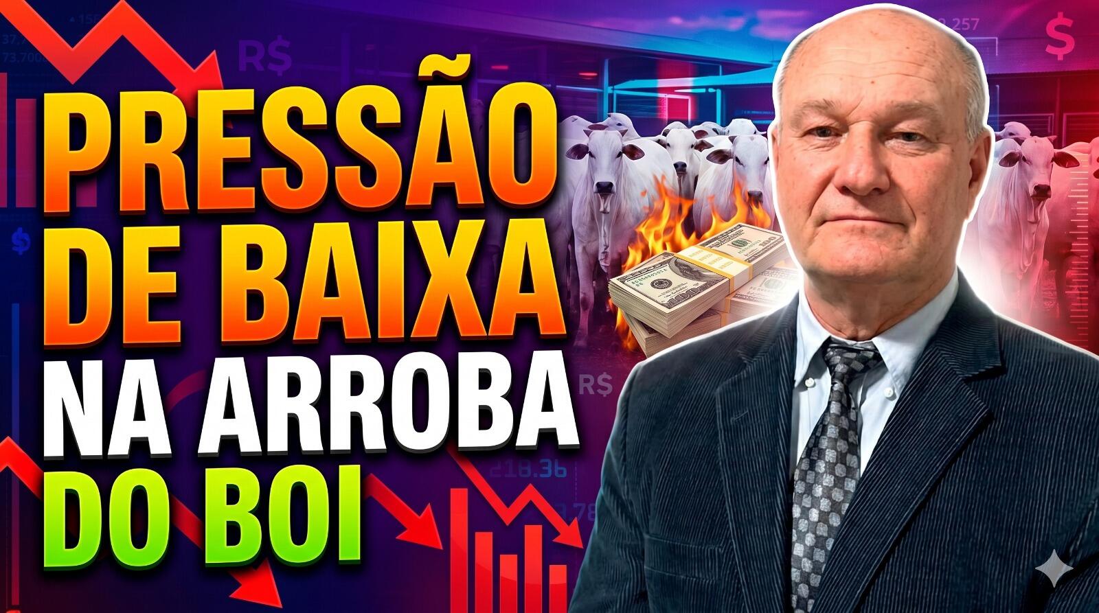 Estratégia dos Frigoríficos: Férias coletivas e pressão de baixa na arroba do boi