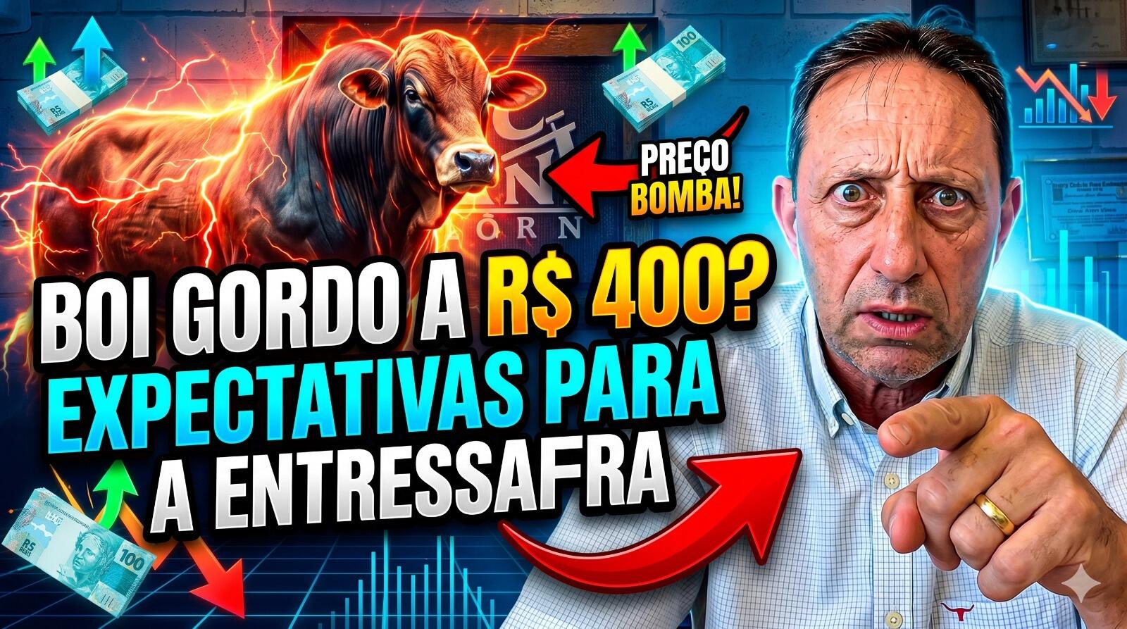 Boi Gordo a R$ 400? As expectativas para a entressafra e o impacto do consumo interno
