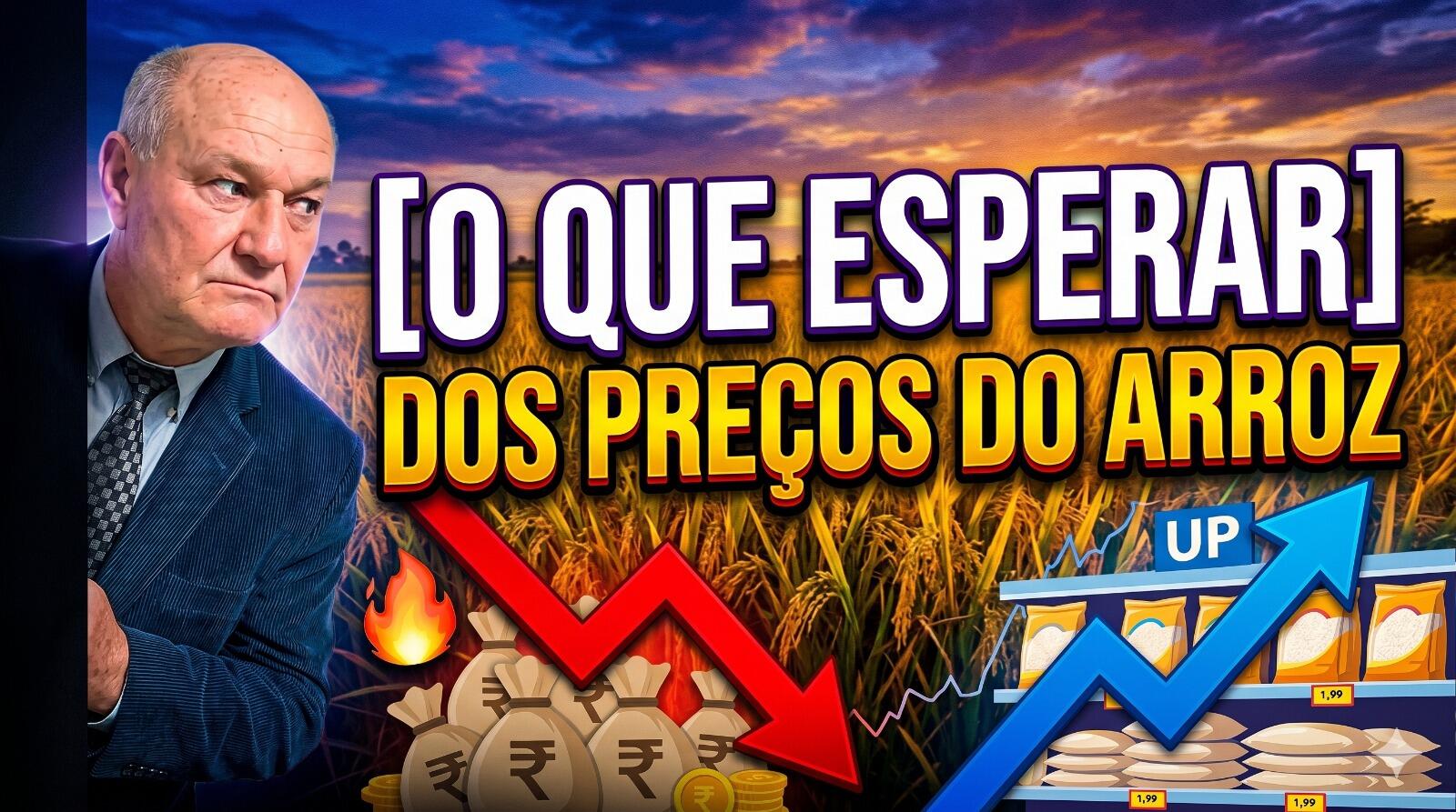 Colheita na Reta Final: O que esperar dos preços do arroz com a reposição do varejo?
