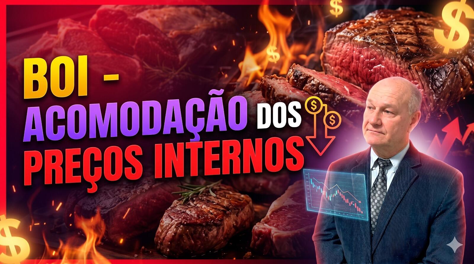 Mercado do boi: entre a acomodação dos preços internos e o recorde de exportações.