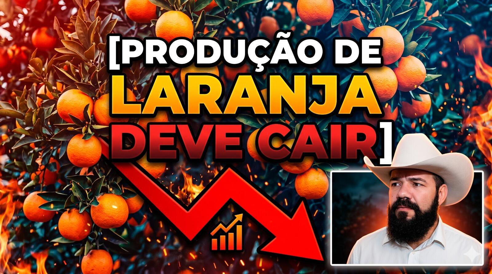 Produção de laranja deve cair no cinturão citrícola de SP e MG