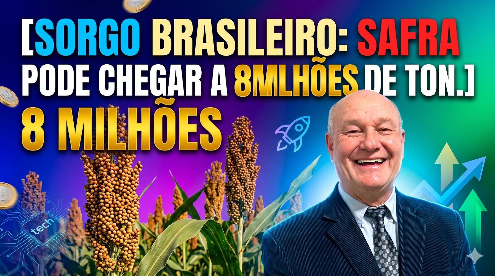 Sorgo brasileiro: Com tecnologia e investimento, safra pode chegar a 8 milhões de toneladas