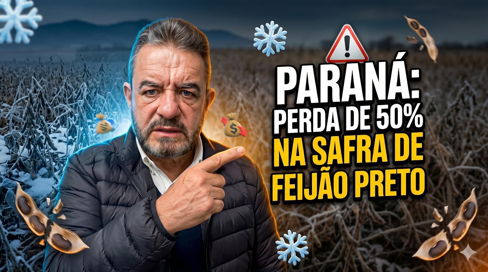 Geadas no Paraná: Perda de 50% na safra de feijão preto acende alerta de importação