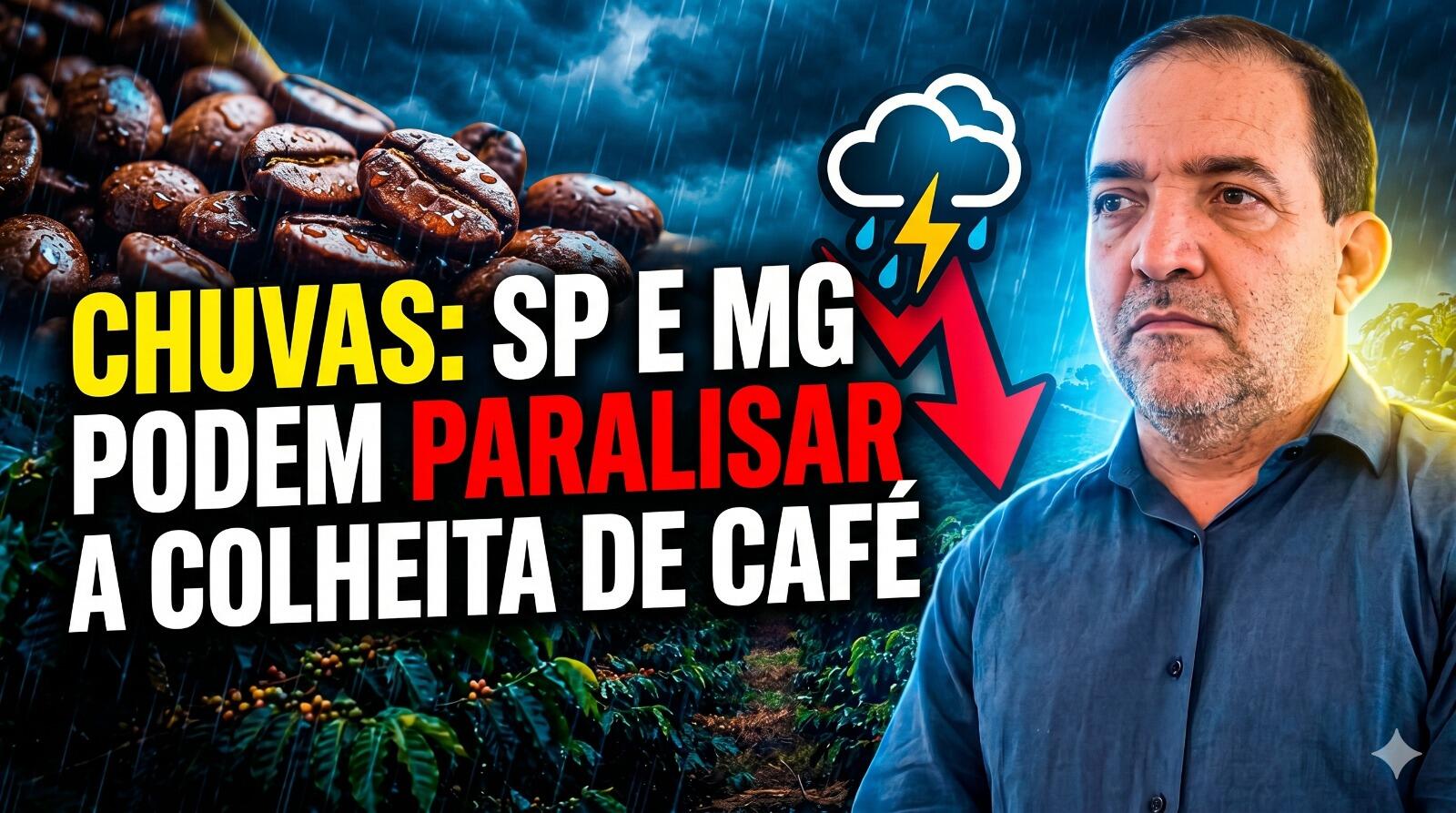 Alerta no café: a variação dos preços e o risco de queda de R$100 no físico.