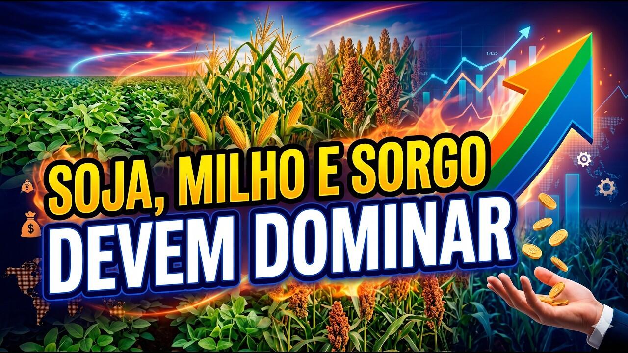 Soja, milho e sorgo devem dominar produção brasileira; arroz e feijão em queda