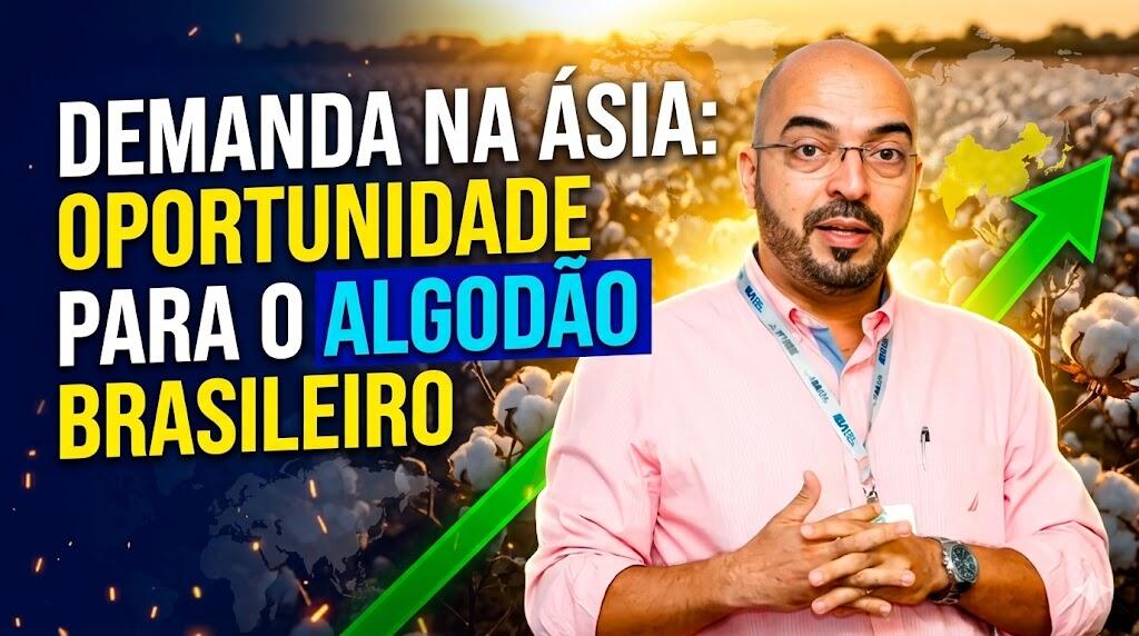 Queda nos preços estimula demanda na Ásia: Oportunidade para o algodão brasileiro?