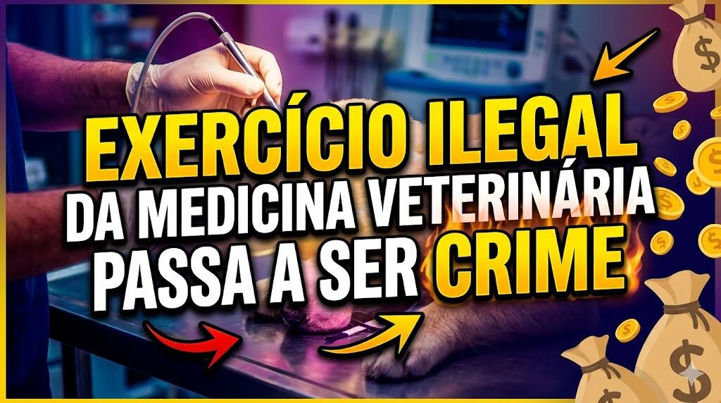 Exercício ilegal da medicina veterinária passa a ser crime