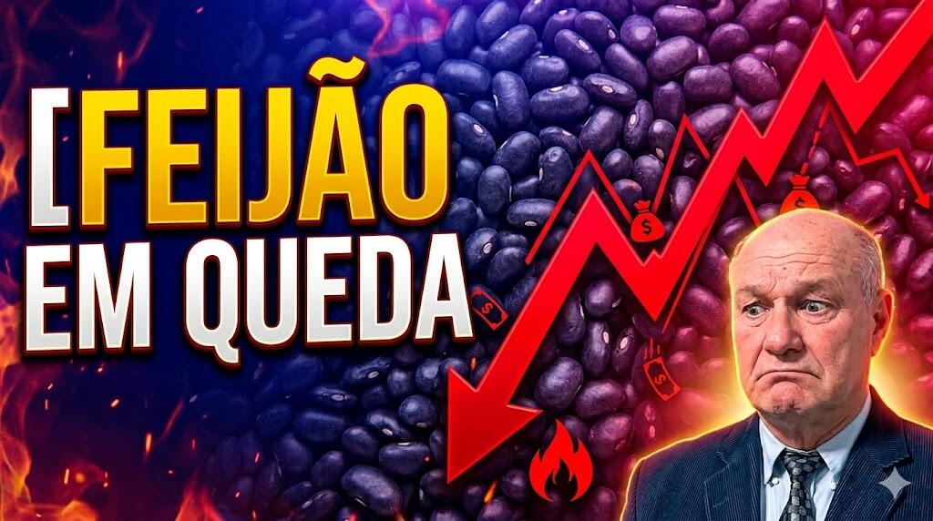 Feijão em Queda: Preços recuam com o avanço da safra. Até onde vai a baixa?
