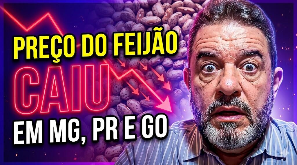 Preço do feijão caiu? Entenda a oscilação em MG, PR e GO