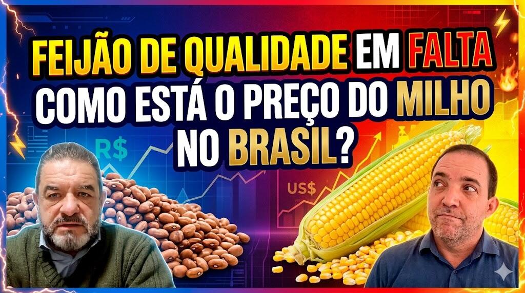 Escassez de Feijão Comercial: Por que será difícil encontrar produto de qualidade em julho?
