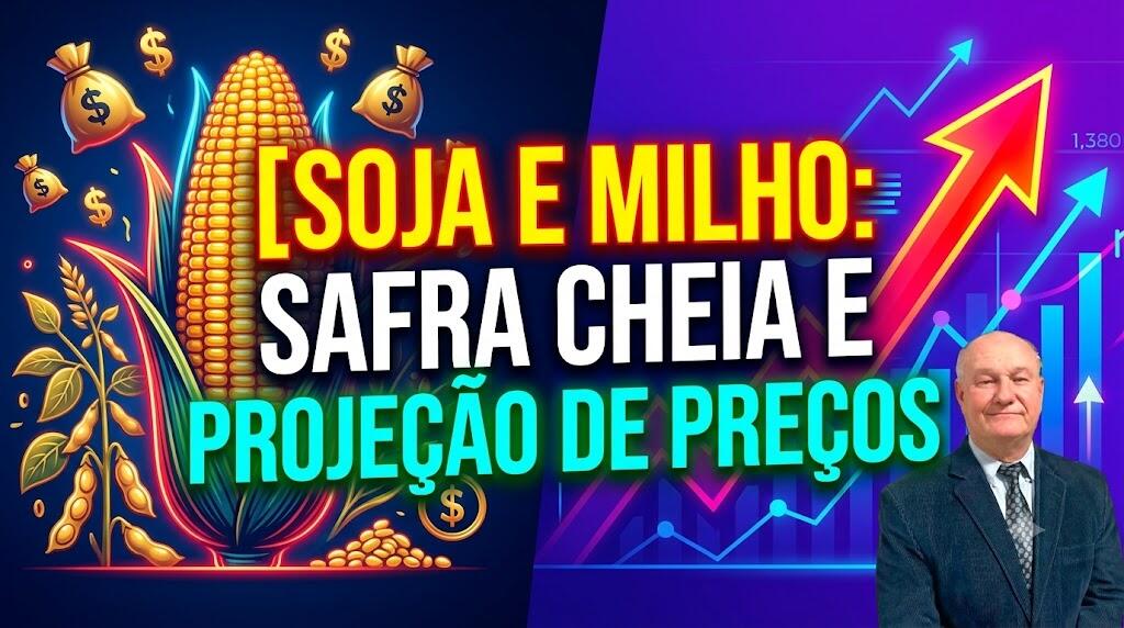 Soja e milho: safra cheia e projeção de preços