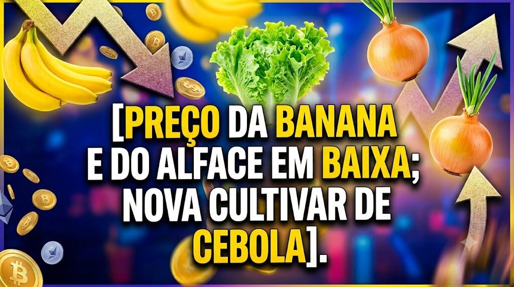 Preço da banana e do alface em baixa; nova cultivar de cebola