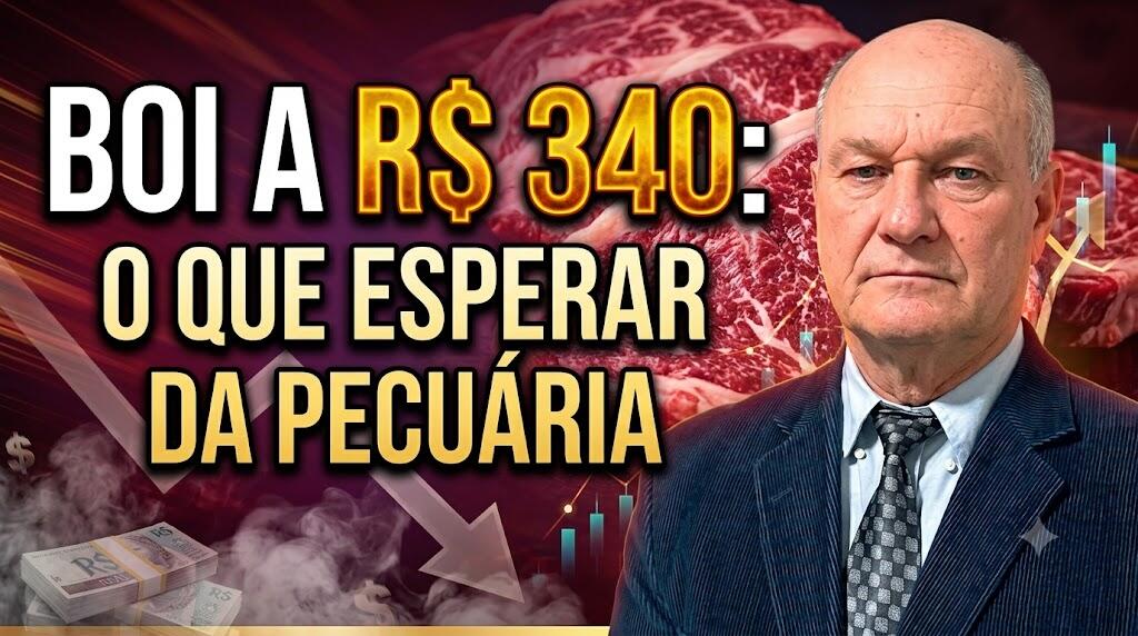 Boi a R$ 340: O que esperar da pecuária