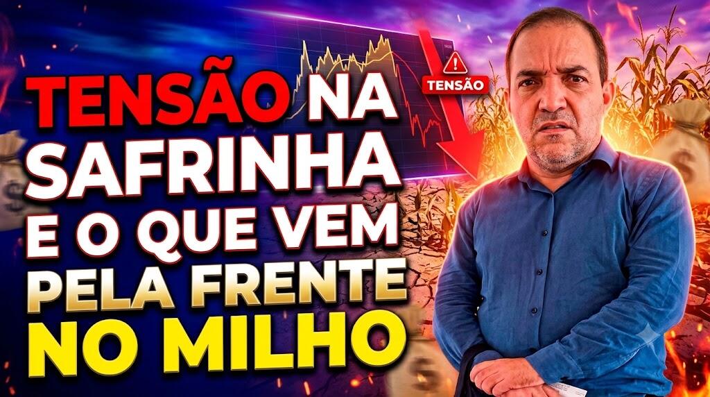 Tensão na safrinha e o que vem pela frente no milho