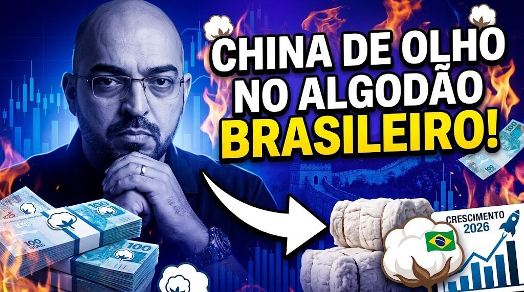 China de olho no algodão brasileiro!