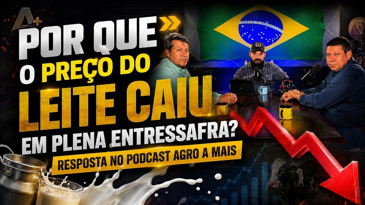 Por que o preço do leite caiu em plena entressafra? Resposta no Podcast Agro A Mais