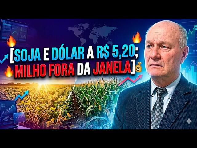 Soja e dólar a R$ 5,20; Milho fora da janela e o risco de geada