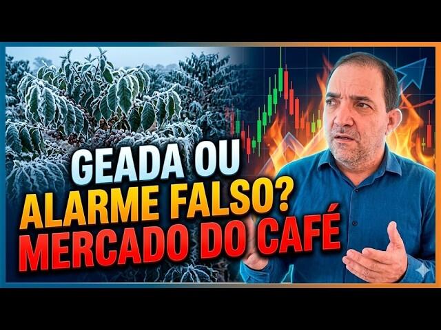 Geada ou Alarme Falso? O que mexeu com o Mercado do Café?