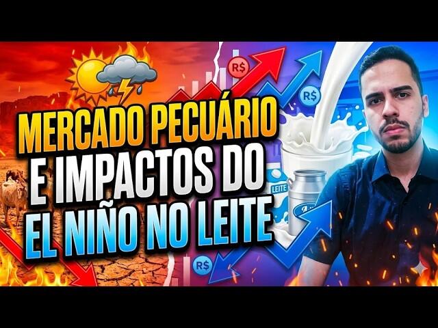 Mercado Pecuário e impactos do El Niño no Leite