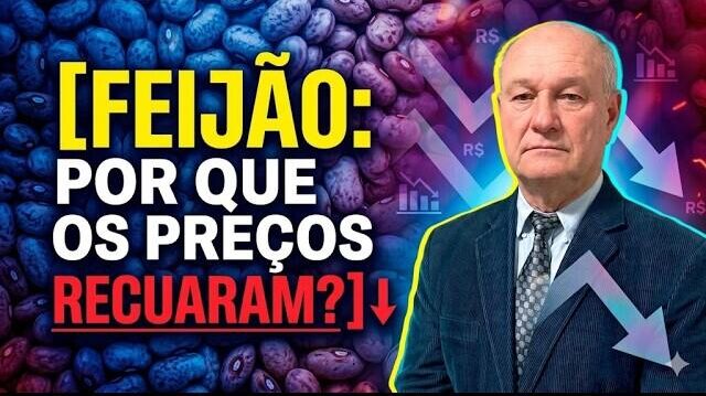 Mercado do Feijão: Por que os preços recuaram para a faixa de R$400?