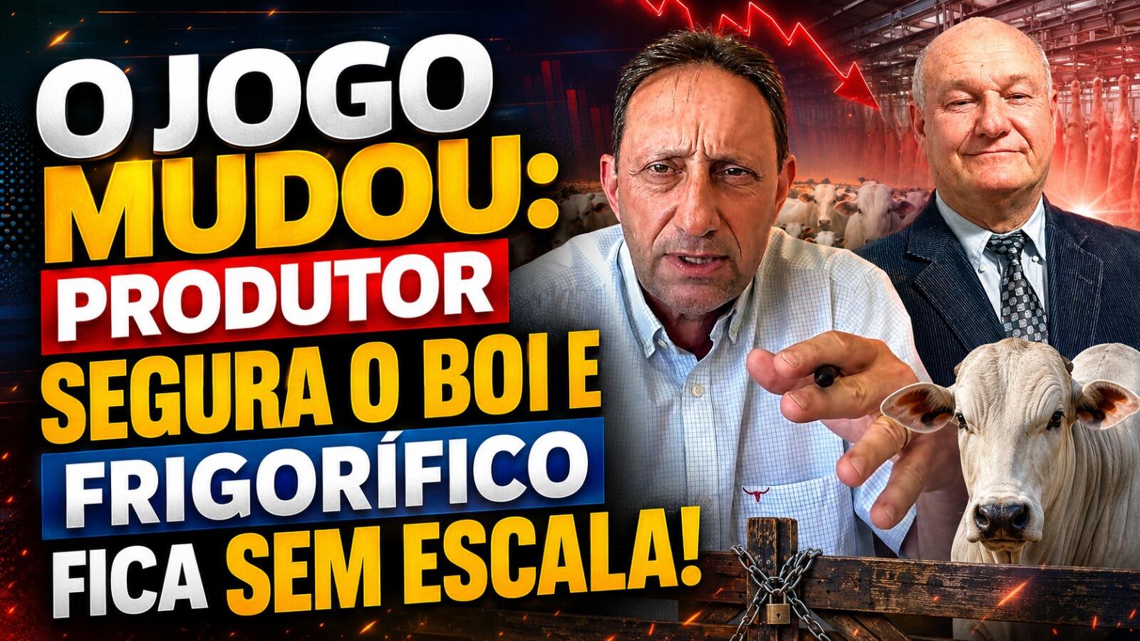 O jogo mudou: produtor segura o boi e frigorífico fica SEM escala!