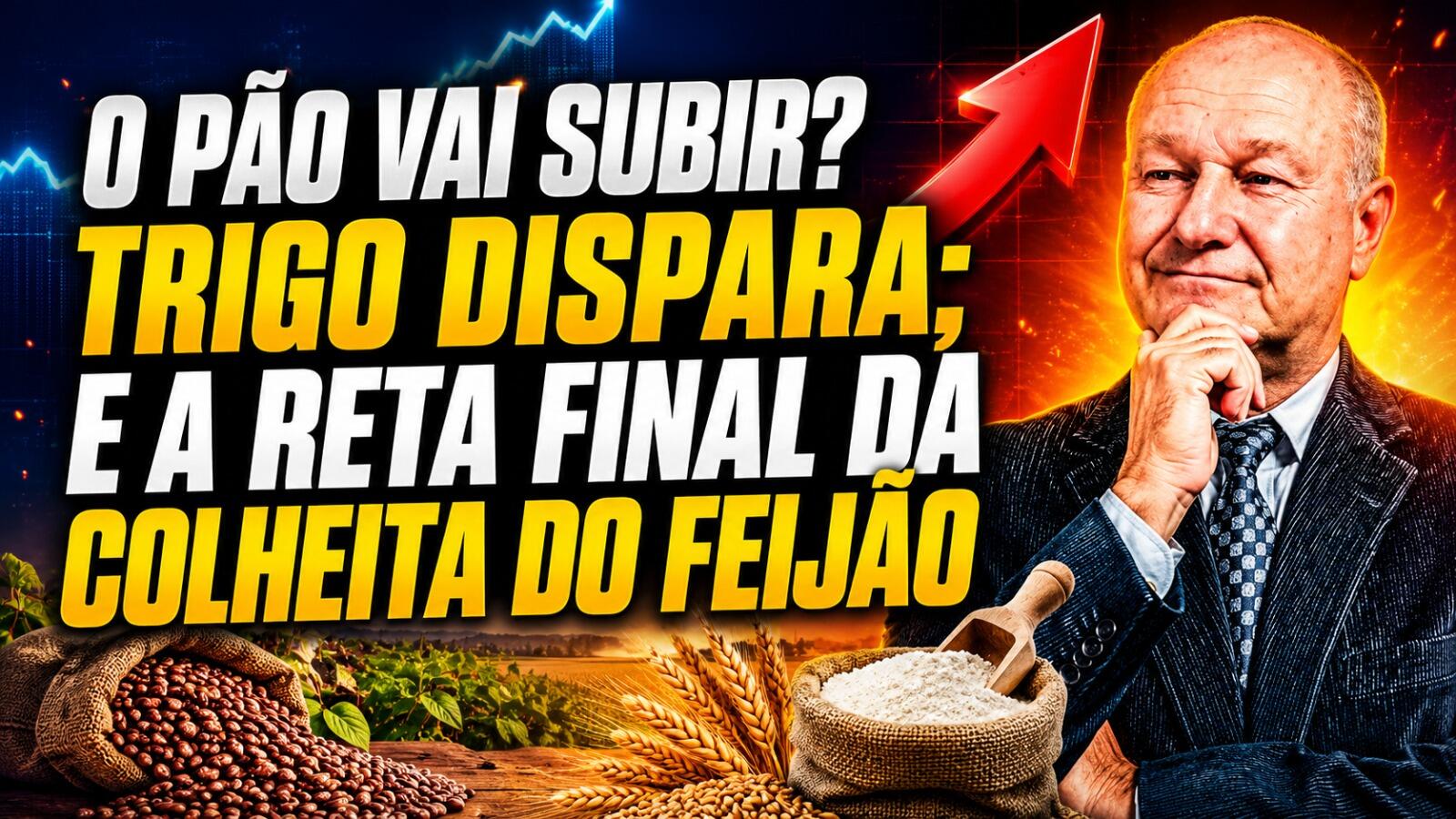 O Pão Vai Subir? Trigo Dispara; e a Reta Final da Colheita do Feijão.