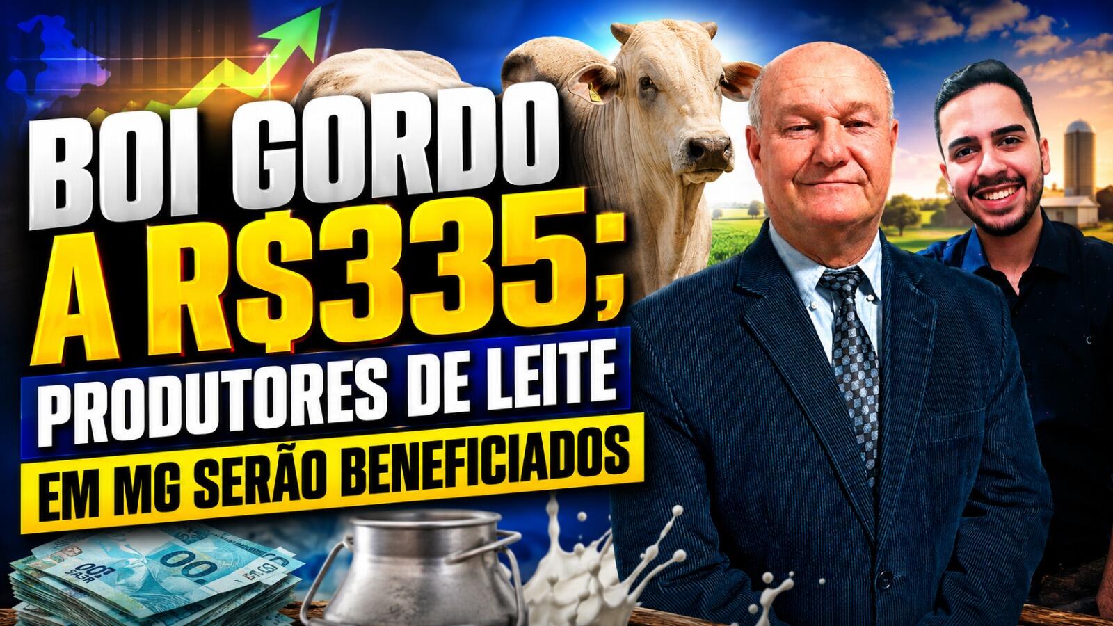Boi Gordo a R$335; Produtores de leite em MG serão beneficiados