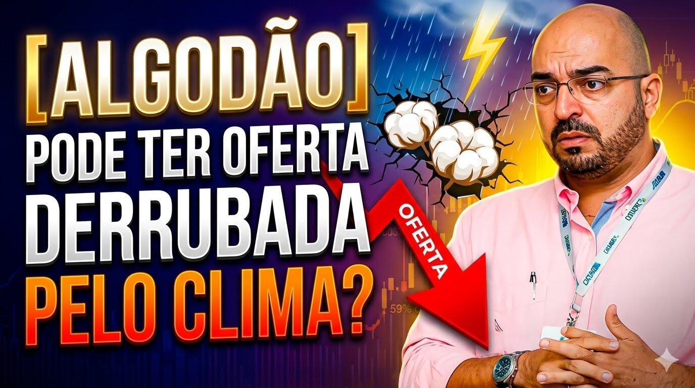 Algodão pode ter oferta derrubada pelo Clima?