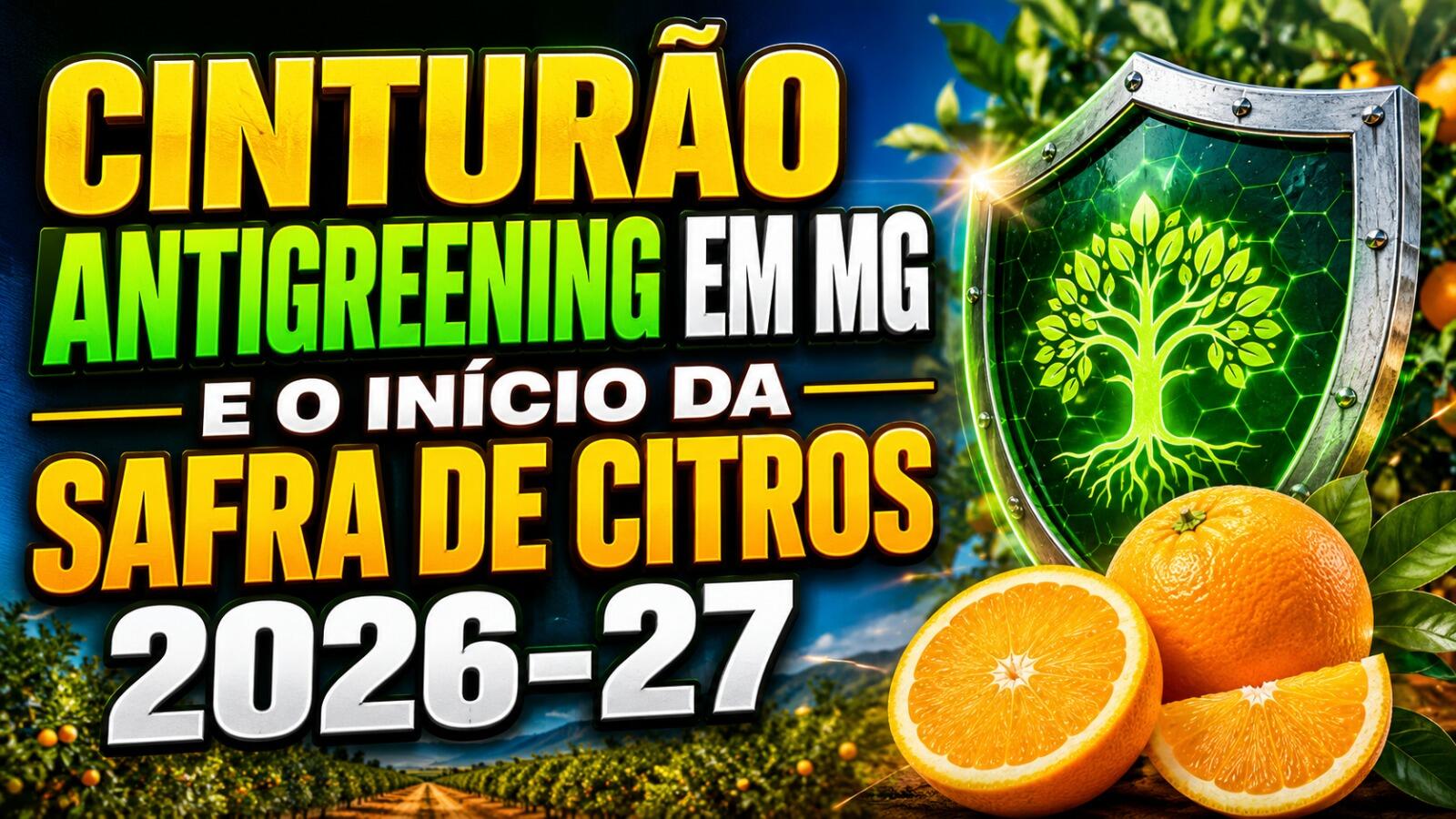 Cinturão Antigreening em MG e o Início da Safra de Citros 2026-27