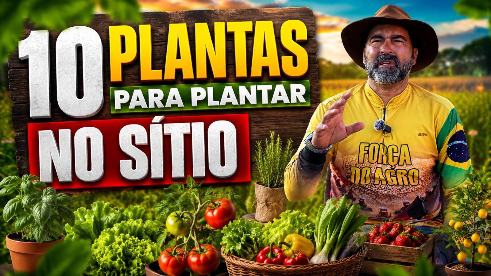 10 plantas para plantar no sítio