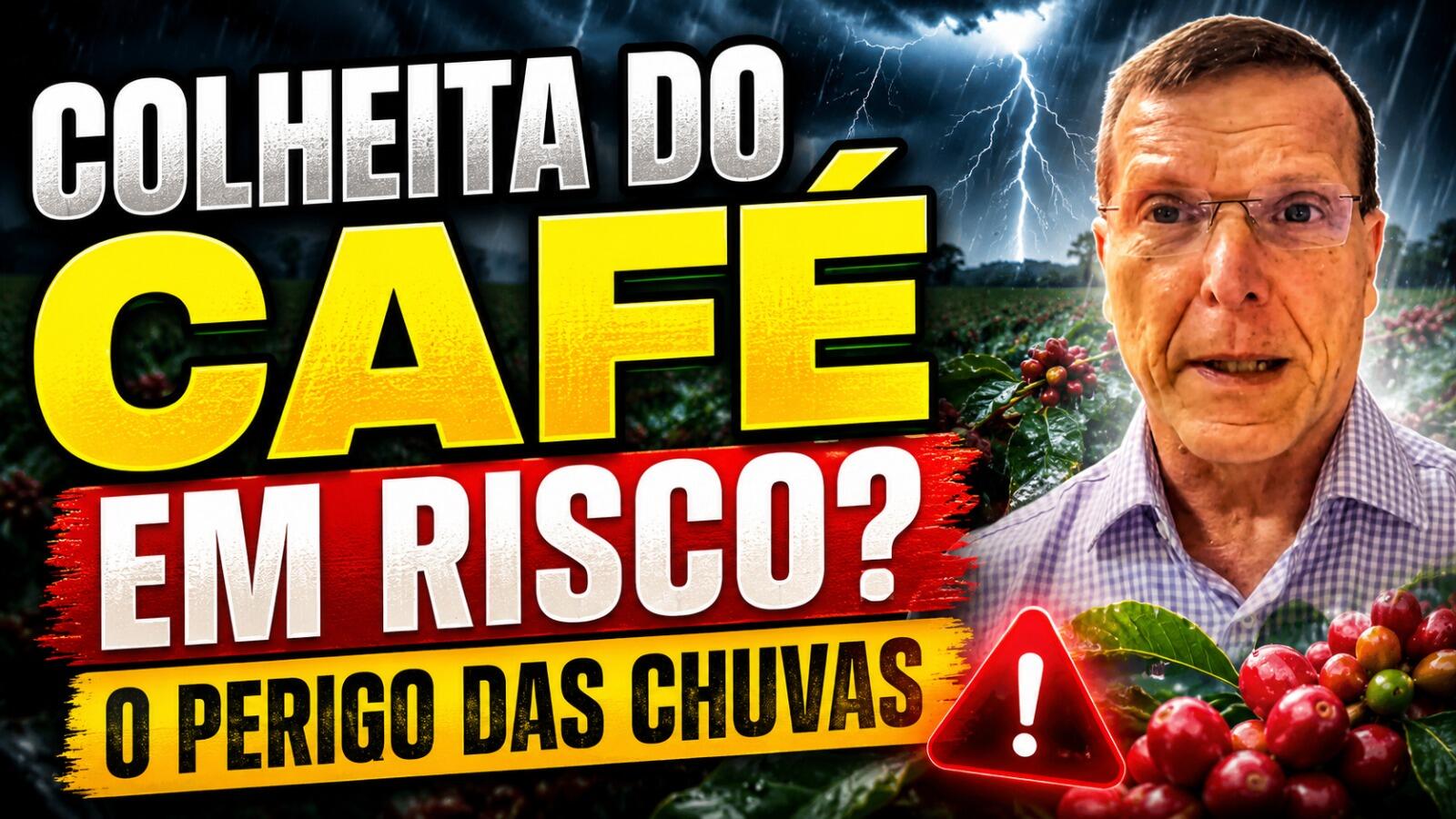 Colheita do café em risco? O perigo das chuvas