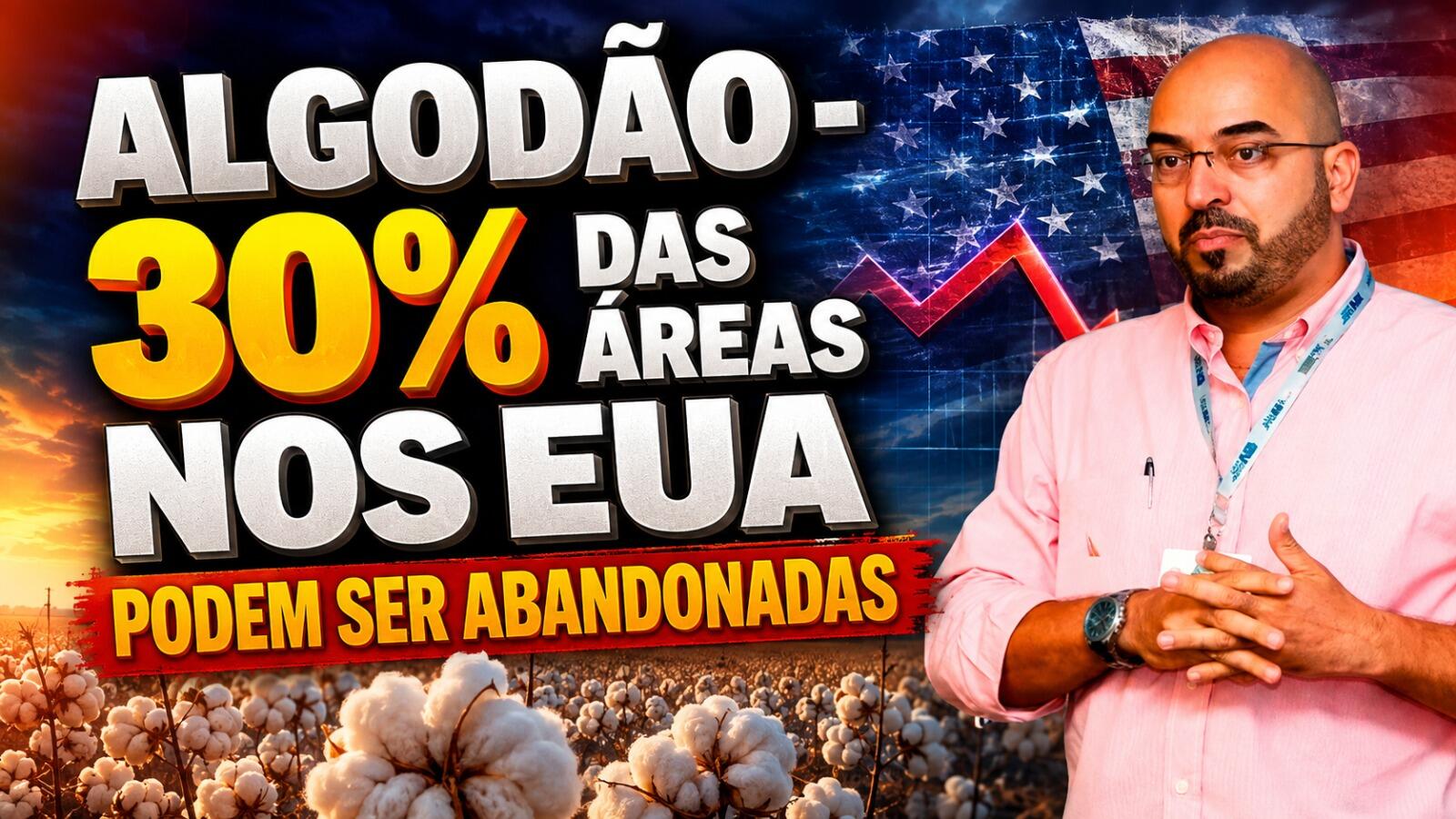 Algodão – 30% das Áreas nos EUA podem ser abandonadas