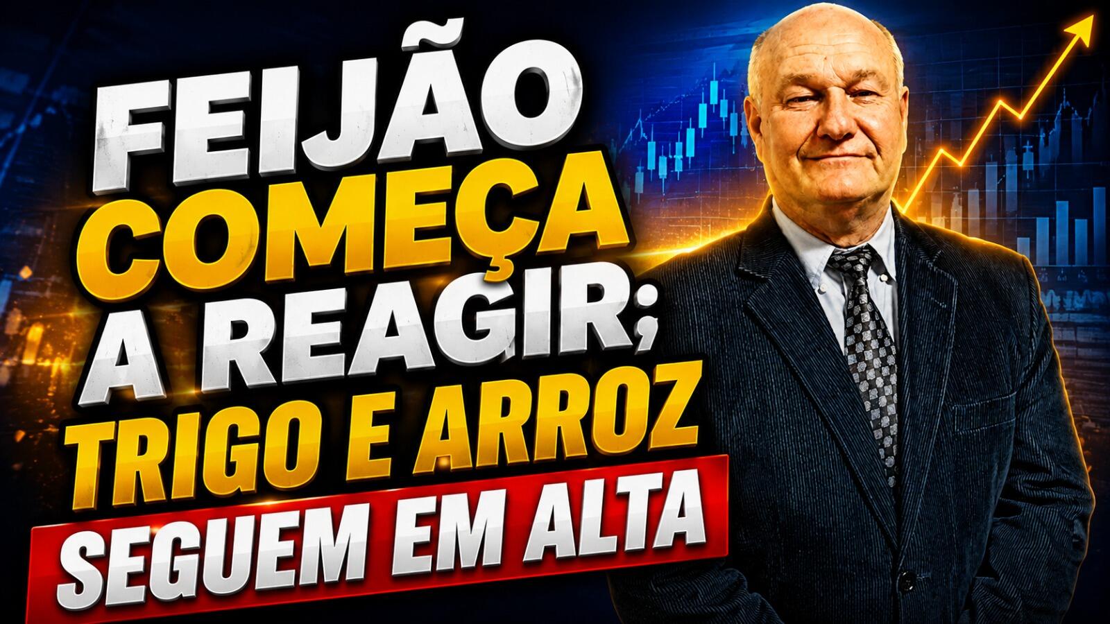 Feijão começa a reagir; trigo e arroz seguem em alta