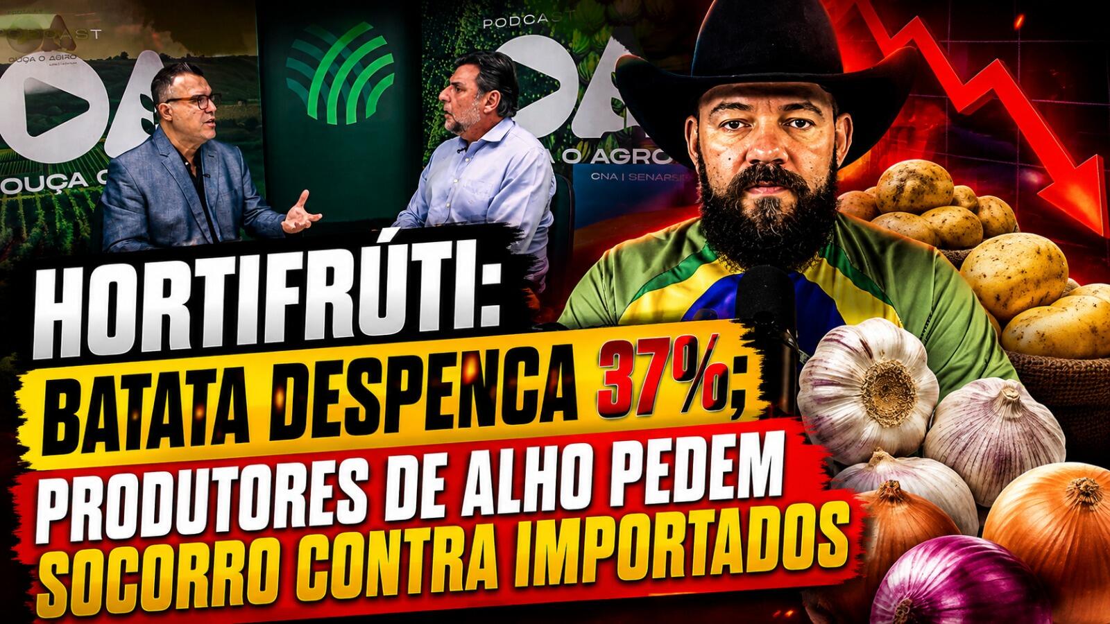 Hortifrúti: Batata despenca 37%; produtores de alho pedem socorro contra importados
