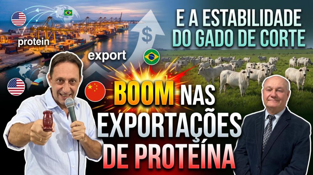 Boom nas Exportações de Proteína e a Estabilidade do Gado de Corte