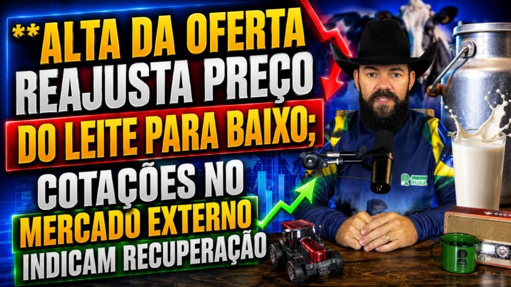 Alta da oferta reajusta preço do leite para baixo; cotações no mercado externo indicam recuperação