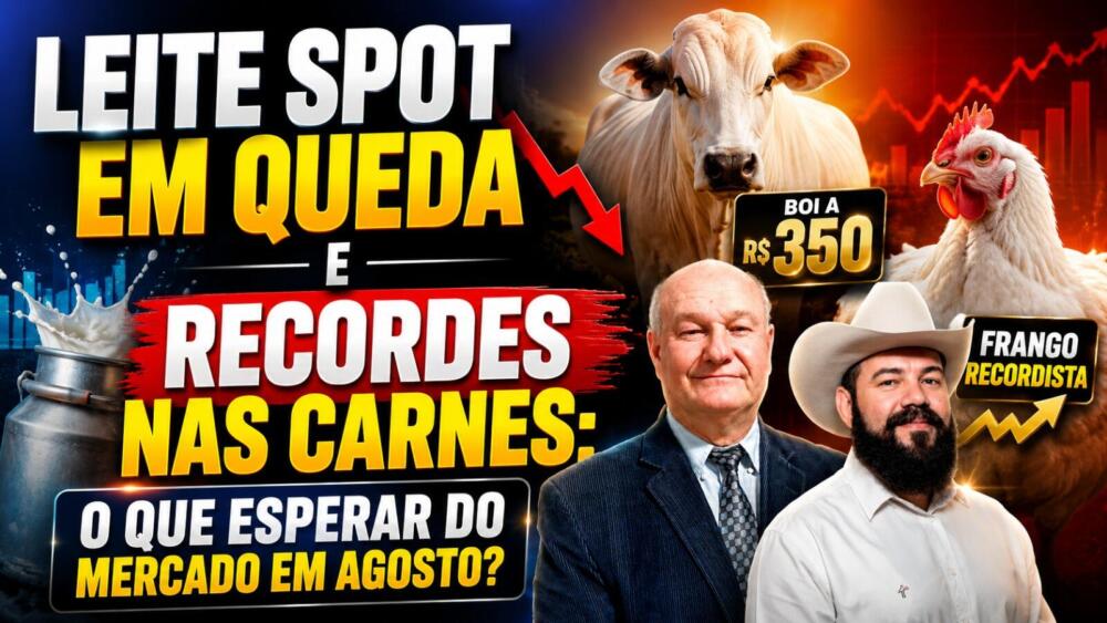 Leite Spot em Queda e Recordes nas Carnes: O Que Esperar do Mercado em Agosto?