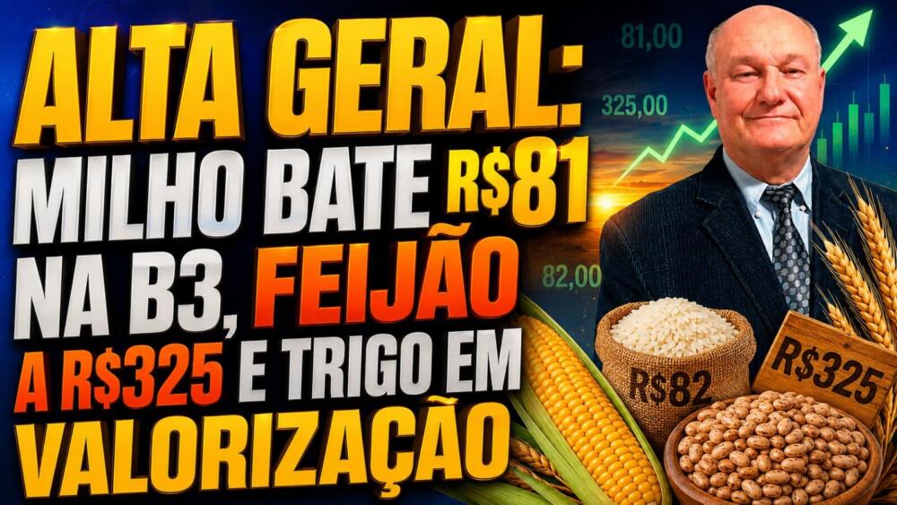 Milho bate R$81 na B3, Feijão a R$325 e Trigo em valorização